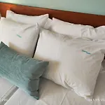 Filomeni 4*