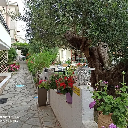 Filomeni *