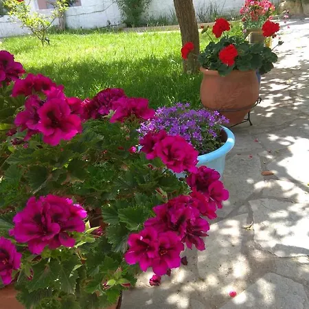 Filomeni Guest house